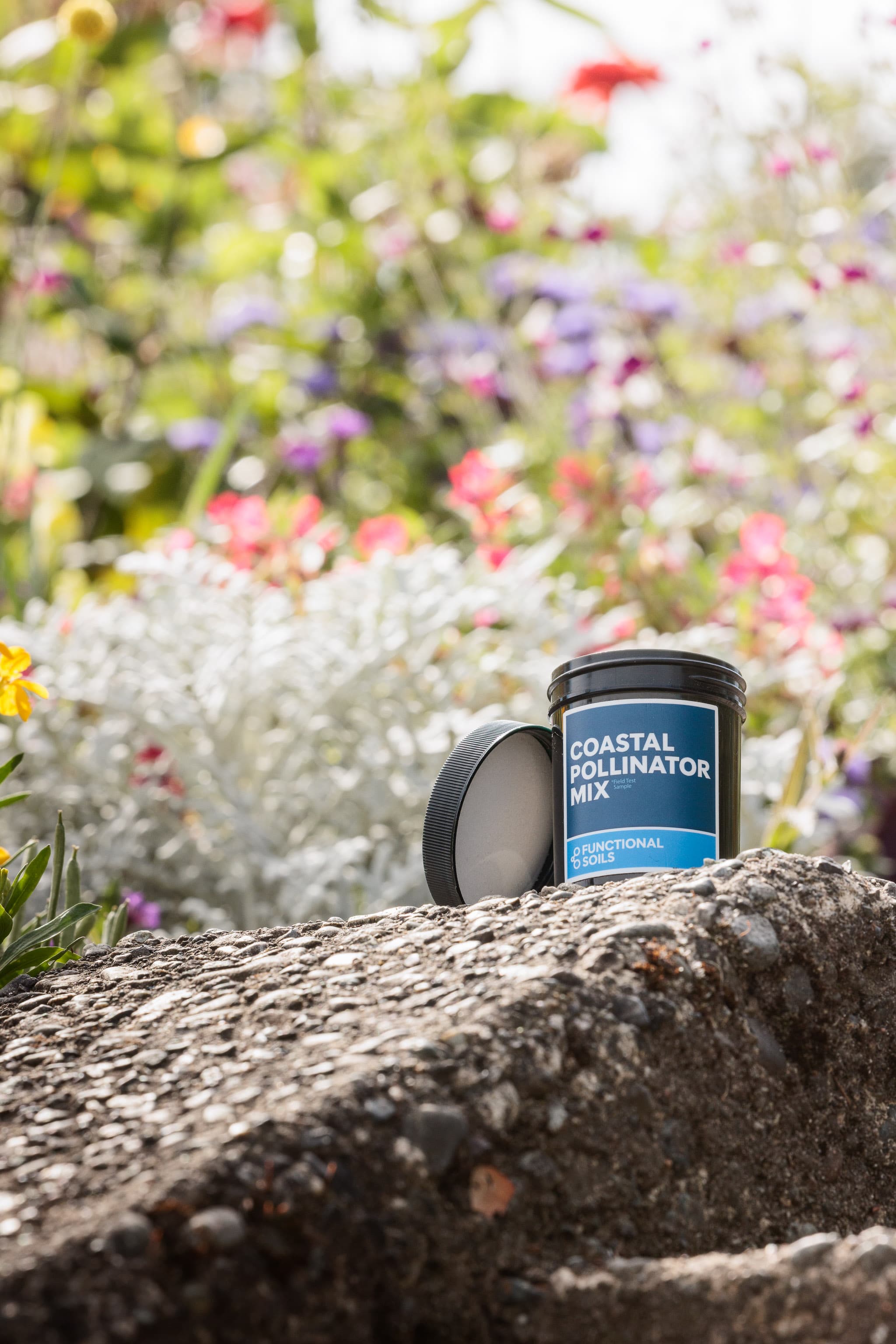 A Coastal Pollinator Mix jar on a stone wall in a flower bed