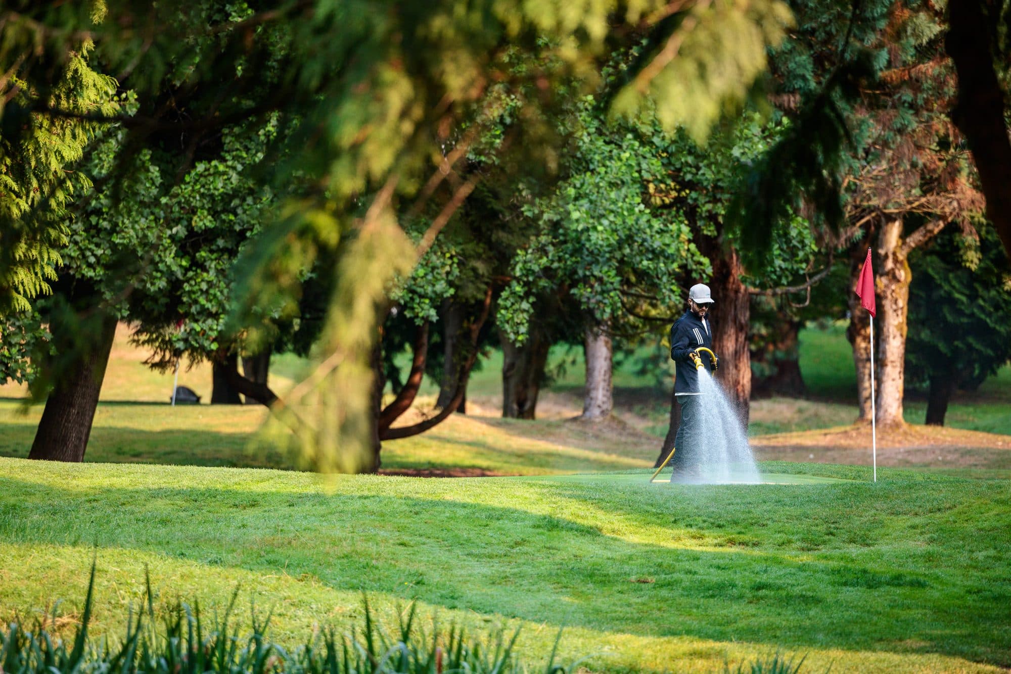 A greenskeeper spraying a fairway on a tree-lined golf course