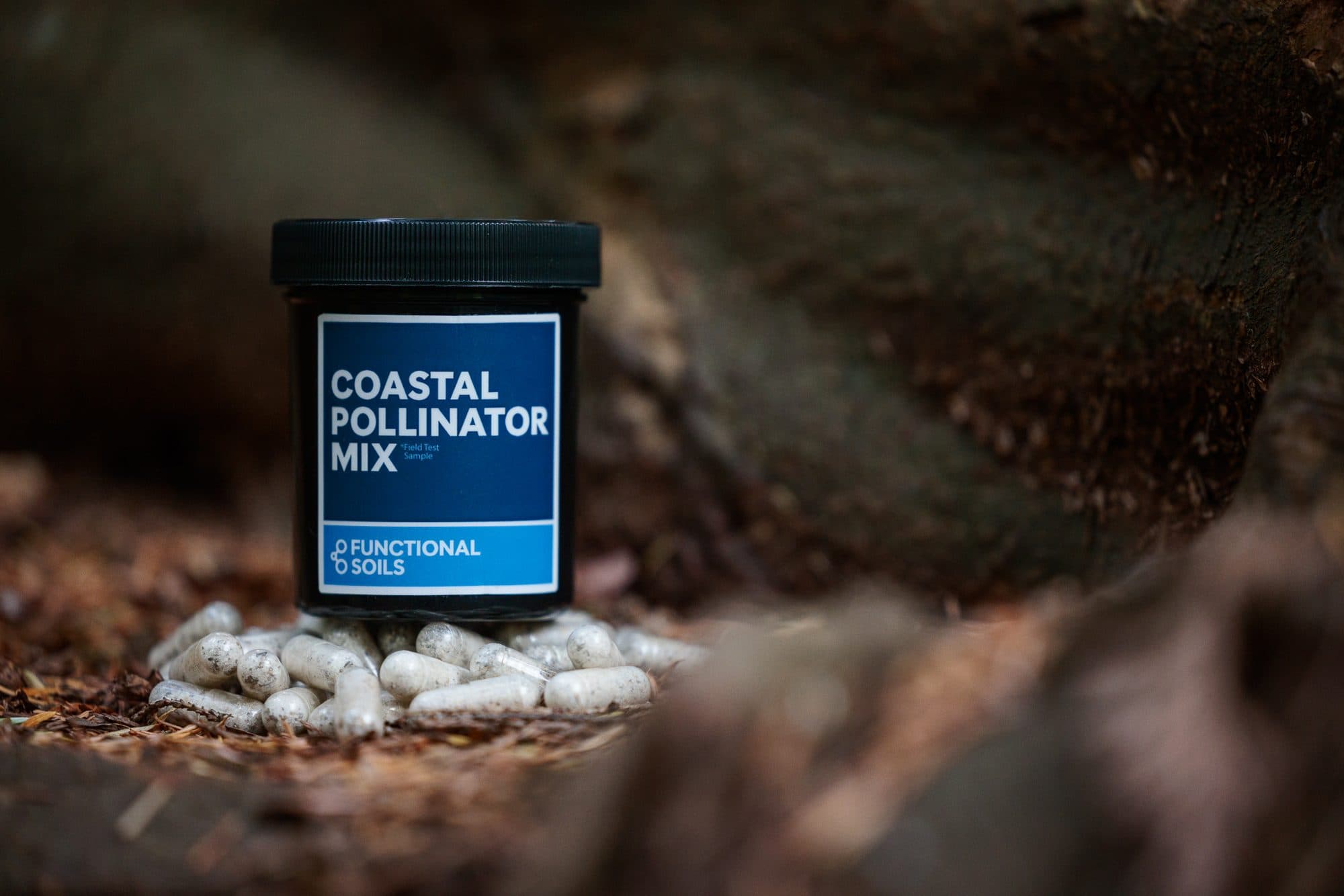 A Coastal Pollinator Mix jar with capsules on the forest floor