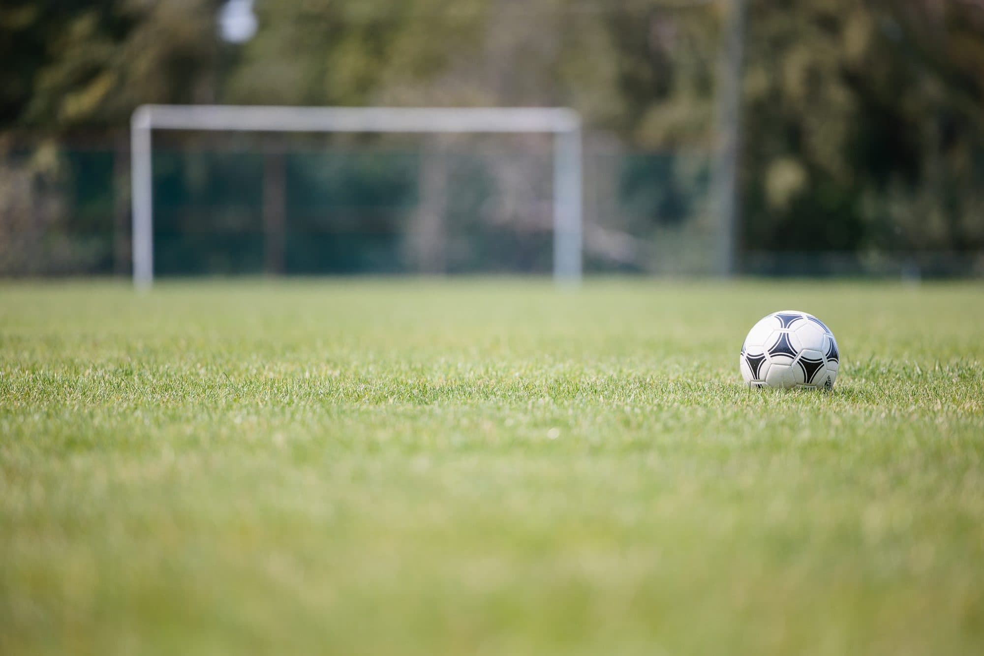 A soccer ball on a healthy pitch in front of the goal