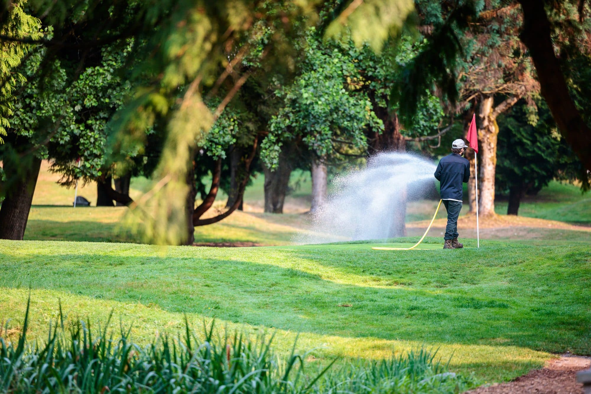 A greenskeeper spraying a fairway on a tree-lined golf course